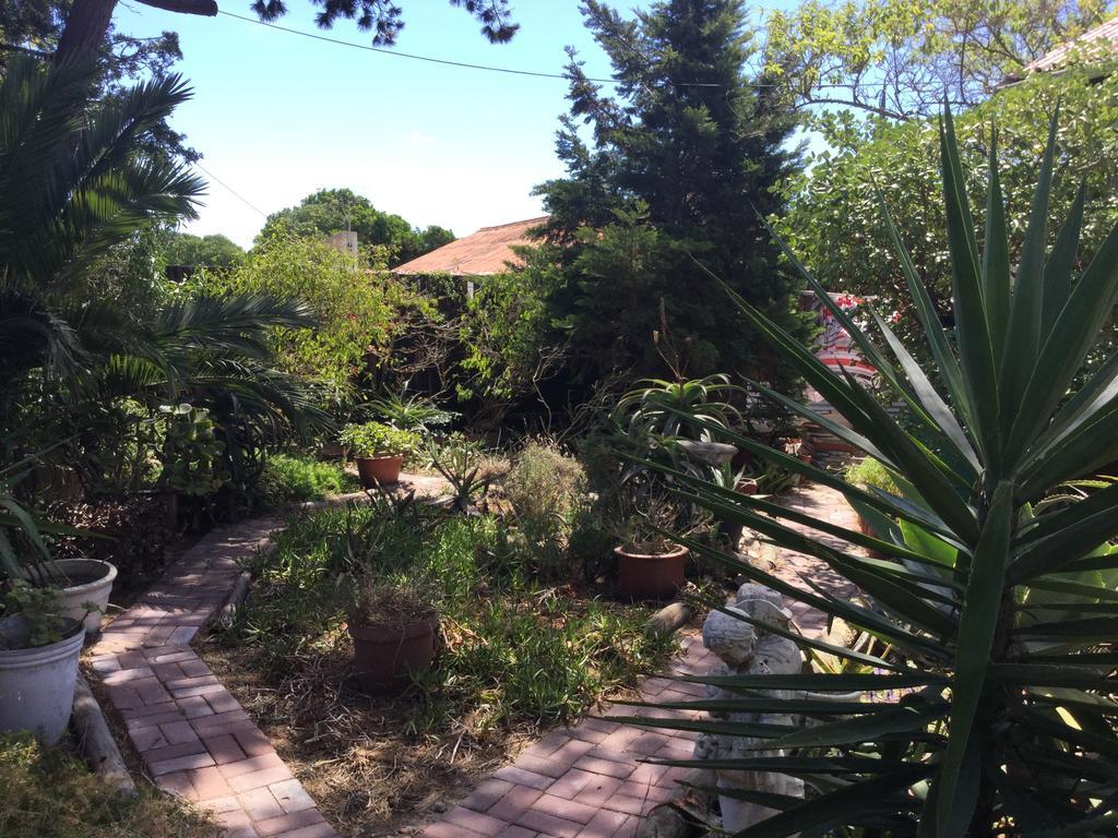 Guest house The Buddha Garden 2*